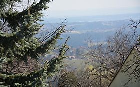Weingut Seiner vlg. Kraxner